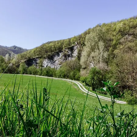 Bed & Breakfast Sereno Di